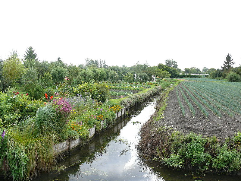 File:Hortillonnages d'Amiens.JPG