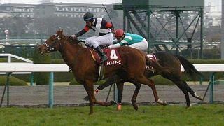 Fillies Revue Horse race in Japan