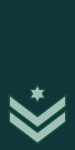 IDF rangerer Rasab.svg