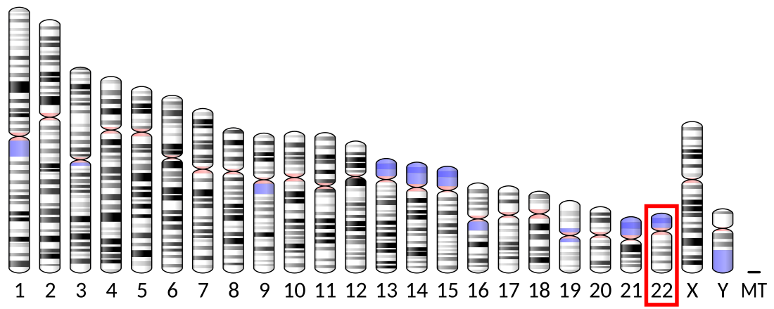 SMARCB1