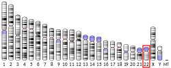 Thumbnail for Tricarboxylate transport protein, mitochondrial