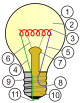 Incandescent light bulb