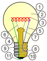 Bulb diagram with parts labeled.