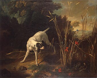 Câine arătând spre o potârniche (1725), 129 x 162 cm. Muzeul Ermitaj