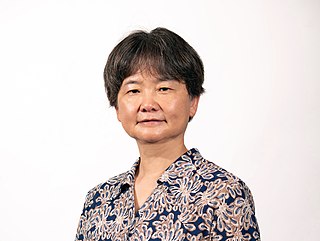 <span class="mw-page-title-main">Jingbo Wang</span> Australian quantum physicist