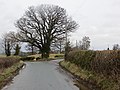 Thumbnail for File:Junction, Pitchford - geograph.org.uk - 3863805.jpg