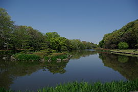 פארק Junsaiike Ryokuchi באיצ'יקאווה