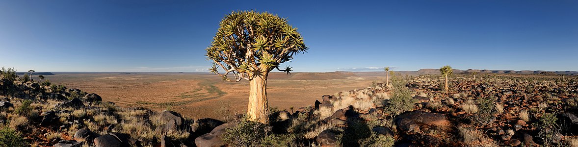 Karoo019-South Africa-landscape.jpg