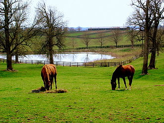 Bluegrass region, Kentucky Kentucky horse farm.JPEG
