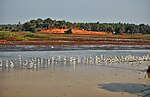Thumbnail for Thrissur-Ponnani Kole Wetlands