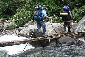 Brücke