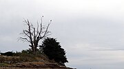 Vignette pour Île Bailleron