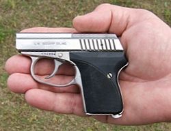 Seecamp LWS 32; a .32 ACP semi-automatic pistol LWS32.jpg