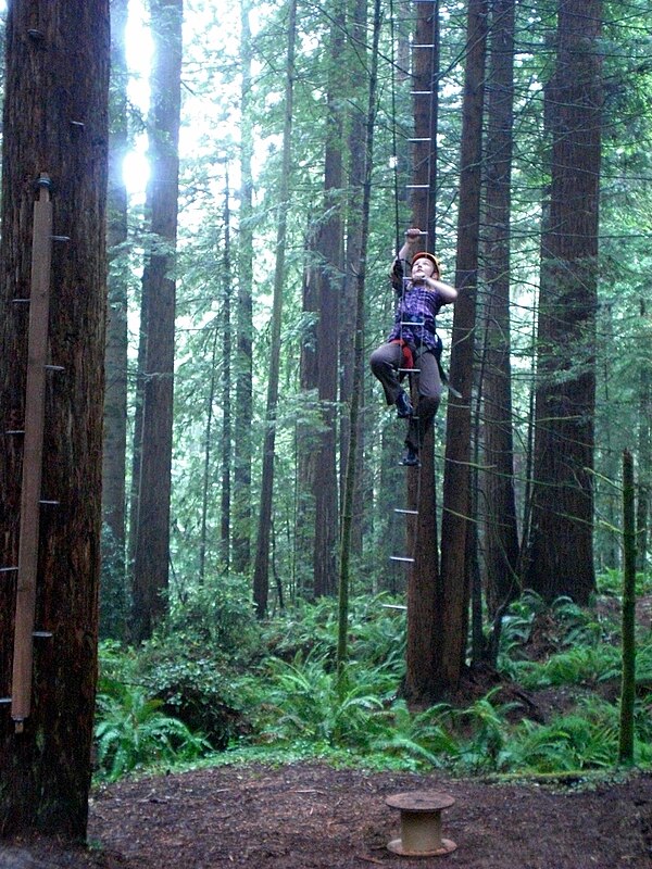 Arcata Community Forest