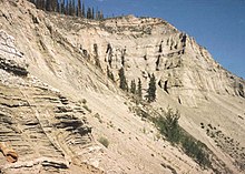 The bluffs near the confluence of the Gakona and Copper Rivers expose nearly 300 ft of the Quaternary lacustrine, alluvial, and glacial deposits that fill the Copper River Basin. Most of the section seen in this view consists of finely laminated to indistinctly bedded sand, silt, and clay, with or without coarser material, that was deposited in glacial Lake Atna.