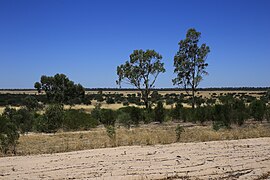 Lake Albacutya Park (32541395201).jpg