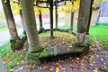 Fundament und Säulen der Tanzlinde - Foundation and pillars of the dance lime tree