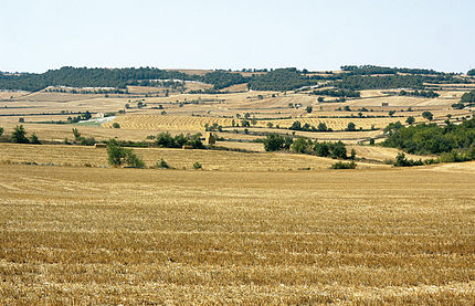 Talavera (Segarra), 3 d'agost de 2007