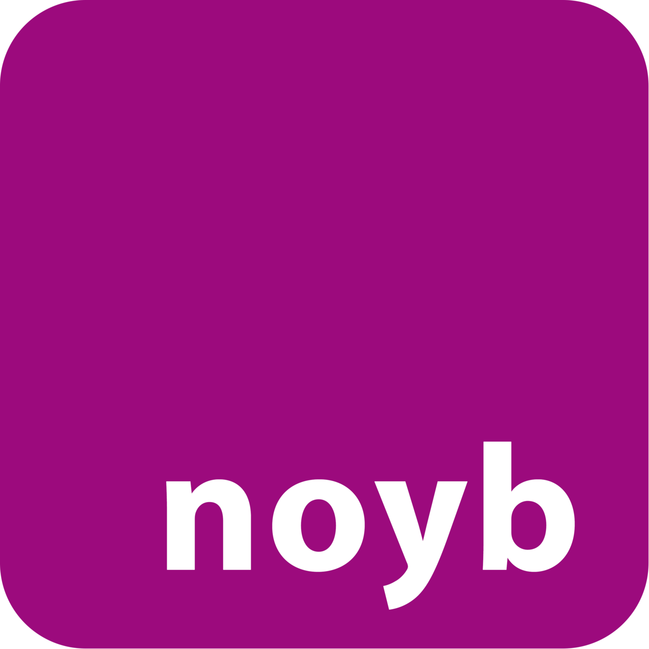 NOYB logotyp