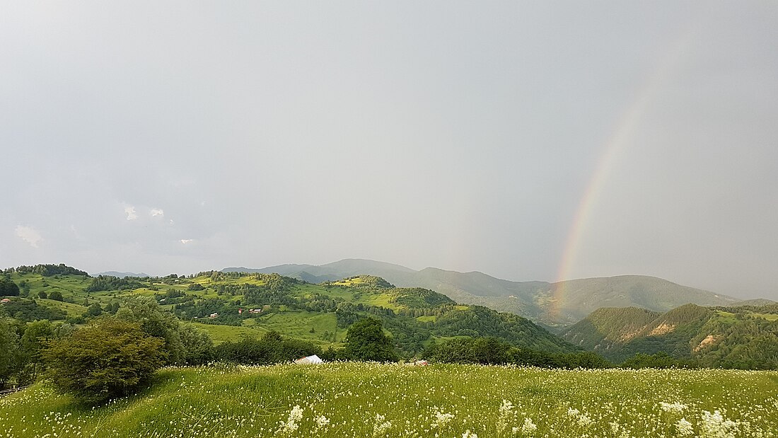 Comuna Lopătari, Buzău