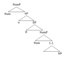 Tree representation of Lorenzo's view of a partitive structure Lorenzo eng.png