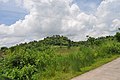 Lubigan Barangay Road - panoramio (7).jpg