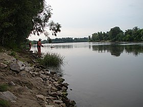 Любичев. Река Десна