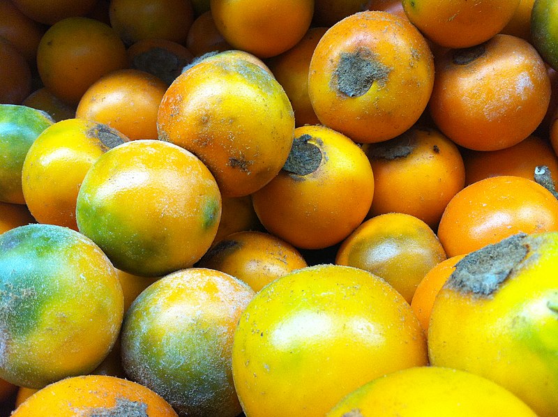 ファイル:Lulo Fruit Colombia MB.JPG