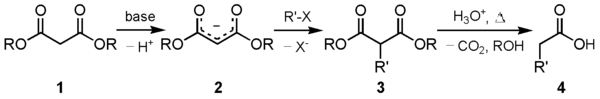 Mecanismo geral da síntese malônica
