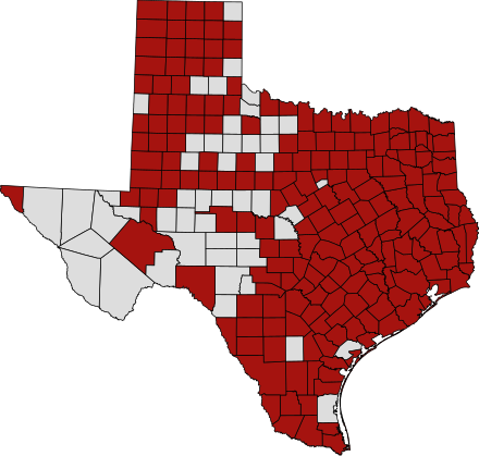 Counties in Texas with confirmed COVID-19 cases Map of 2020 coronavirus pandemic in Texas latest.svg