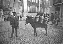 Lisbon oil merchant, c. 1900. Marchand d'huile a Lisbonne (ane en profil).jpg