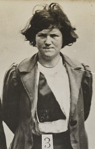 <span class="mw-page-title-main">Margaret Macfarlane</span> Scottish suffragette in Dundee