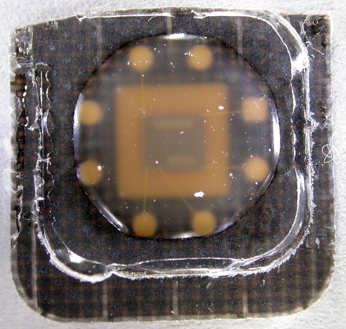 File:Chipclip.jpg - Wikimedia Commons