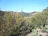 ]] (Vallès Occidental, Bages, Vallès Oriental) (Mura, Sant Llorenç Savall, Matadepera i altres). This is a a photo of a natural area in Catalonia, Spain, with id: ES510002 Object location 41° 40′ 12″ N, 1° 59′ 24″ E  View all coordinates using: OpenStreetMap