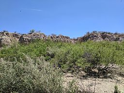 Mesilla Valley Bosque State Park on the trails.jpg