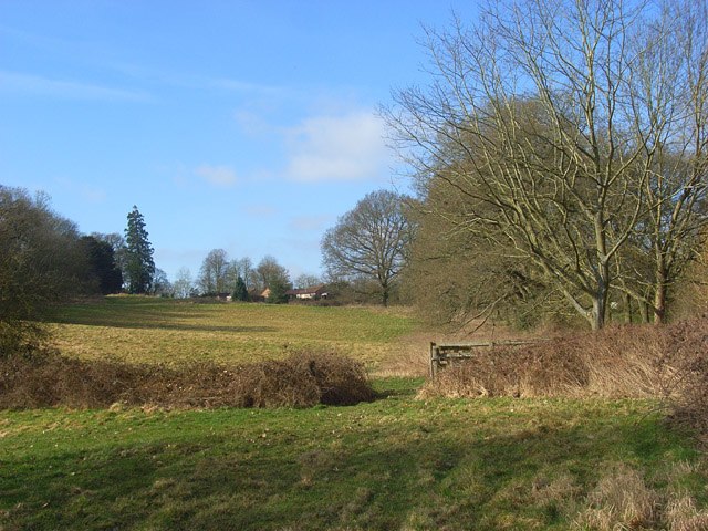 View of upper part of Midgham Park estate.