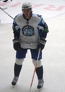 Mikhail Stefanovich Belarusian ice hockey player