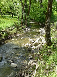 Mionne - Moulin de Villard - aval - portrait.jpg