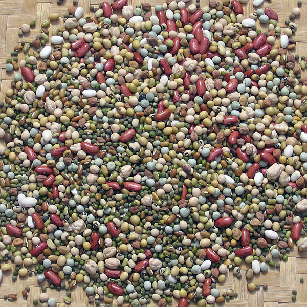 File:Mixed bean kwati.jpg