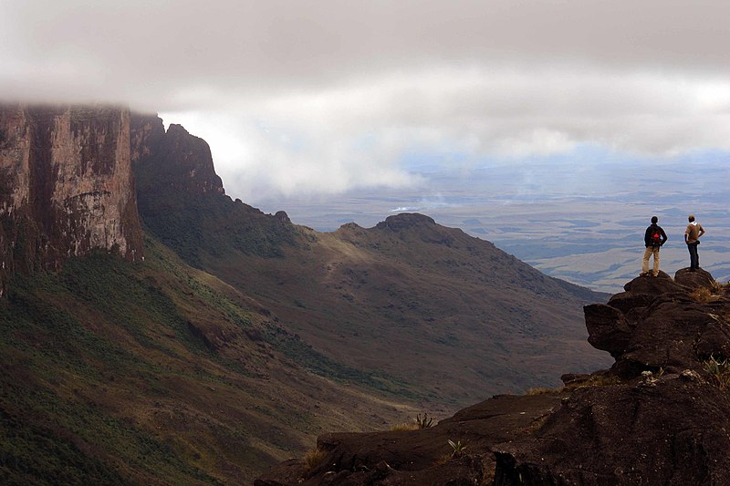 File:Monte Roraima, Roraima.JPG