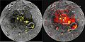 NASA's MESSENGER Finds New Evidence for Water Ice at Mercury's Poles (8230852190).jpg