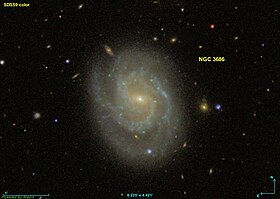 Illustratieve afbeelding van artikel NGC 3686