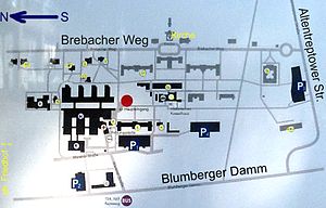 Unfallkrankenhaus Berlin: Bedeutung, Medizinisches Spektrum, Geschichte