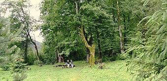 Skoler Raion. Rasteplads ved hovedvejen Lviv-Uzhhorod.