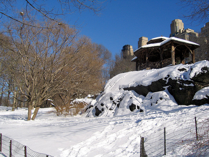 File:New York. Central Park. Snowy (2797030157).jpg