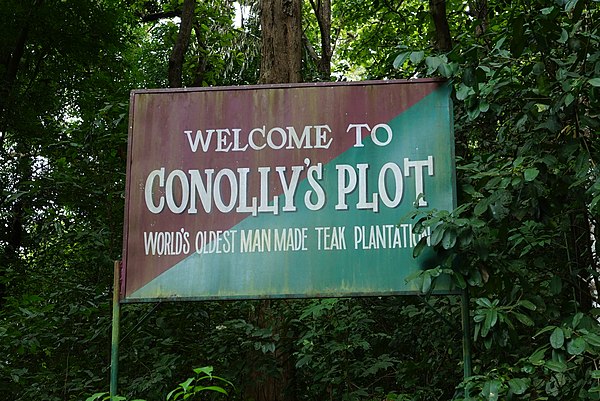 Conolly's plot, Nilambur