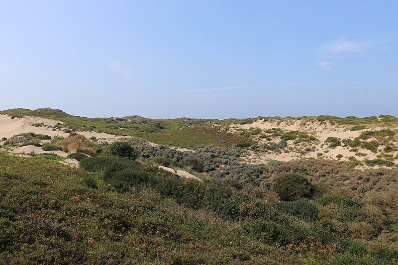 File:Noordwijk - Coepelduyn 02.jpg