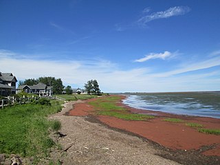 <span class="mw-page-title-main">Northport, Prince Edward Island</span> Rural municipality in Prince Edward Island, Canada