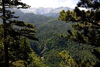 Sutjeska National Park Np sutjeska prasuma perucica vodopad skakavac.JPG