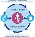 Миниатюра для версии от 12:48, 28 февраля 2017